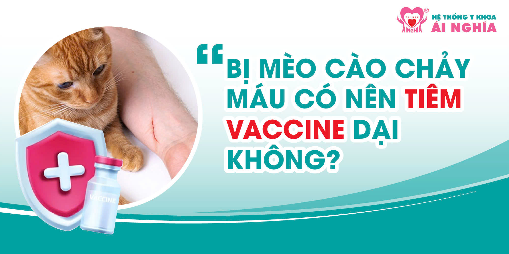 Bạn hỏi – Bác sĩ trả lời: Bị mèo cào chảy máu có tiêm vaccine dại không?
