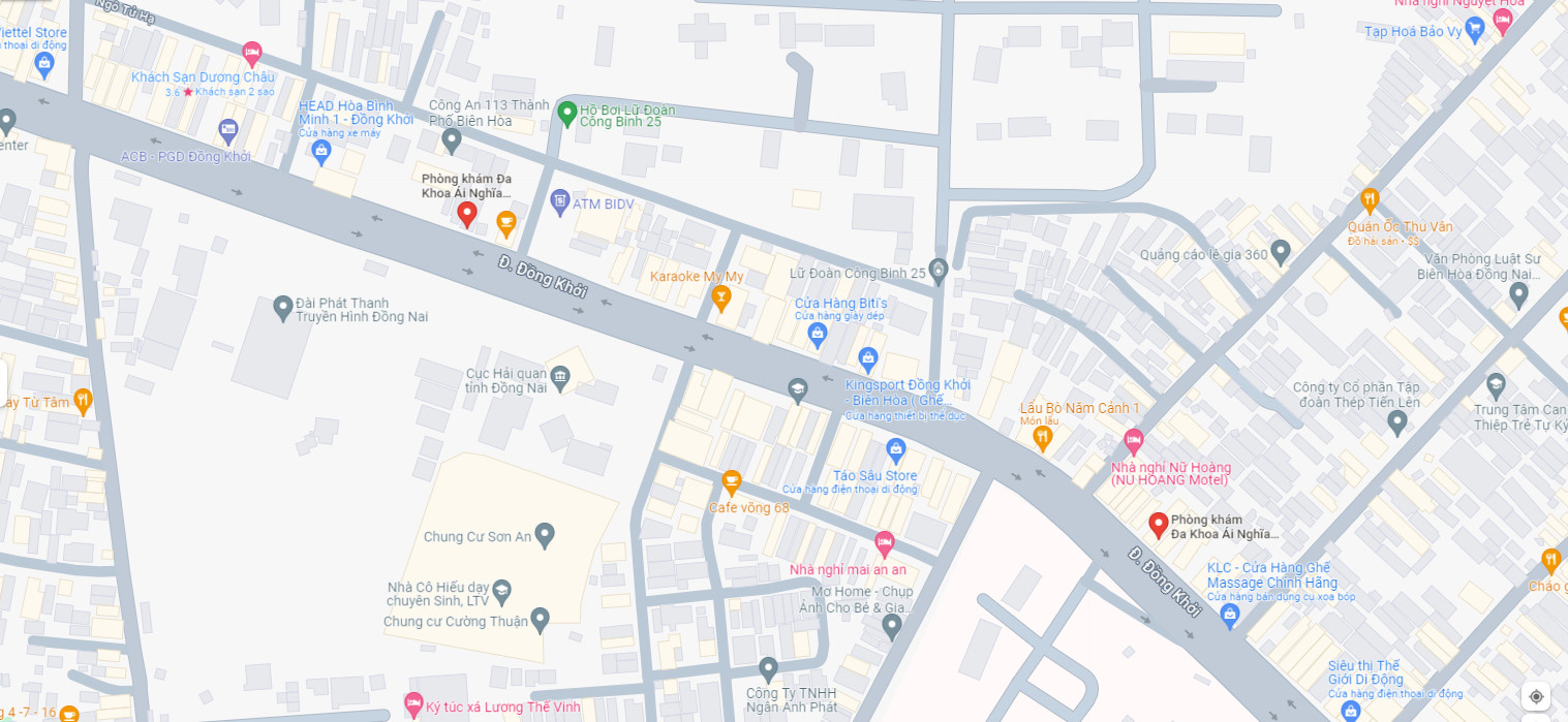 Ái Nghĩa Đồng Khởi